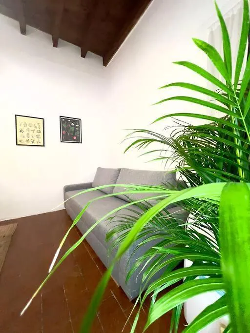 casa centro Firenze WI FI ARIA CONDIZIONATA NETFLIX-1