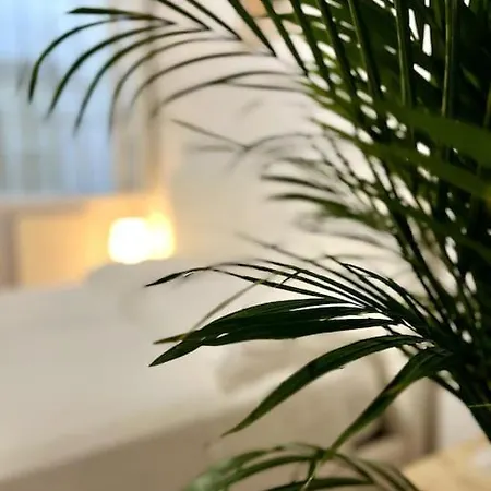 casa centro Firenze WI FI ARIA CONDIZIONATA NETFLIX-2